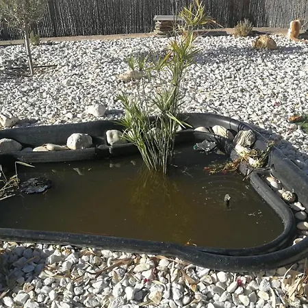 Cortijo De La Fuente, Compartida