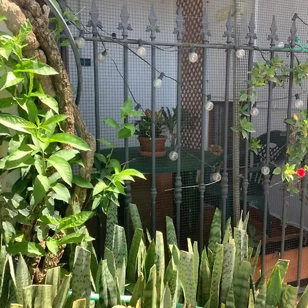 Cortijo De La Fuente Homestay *